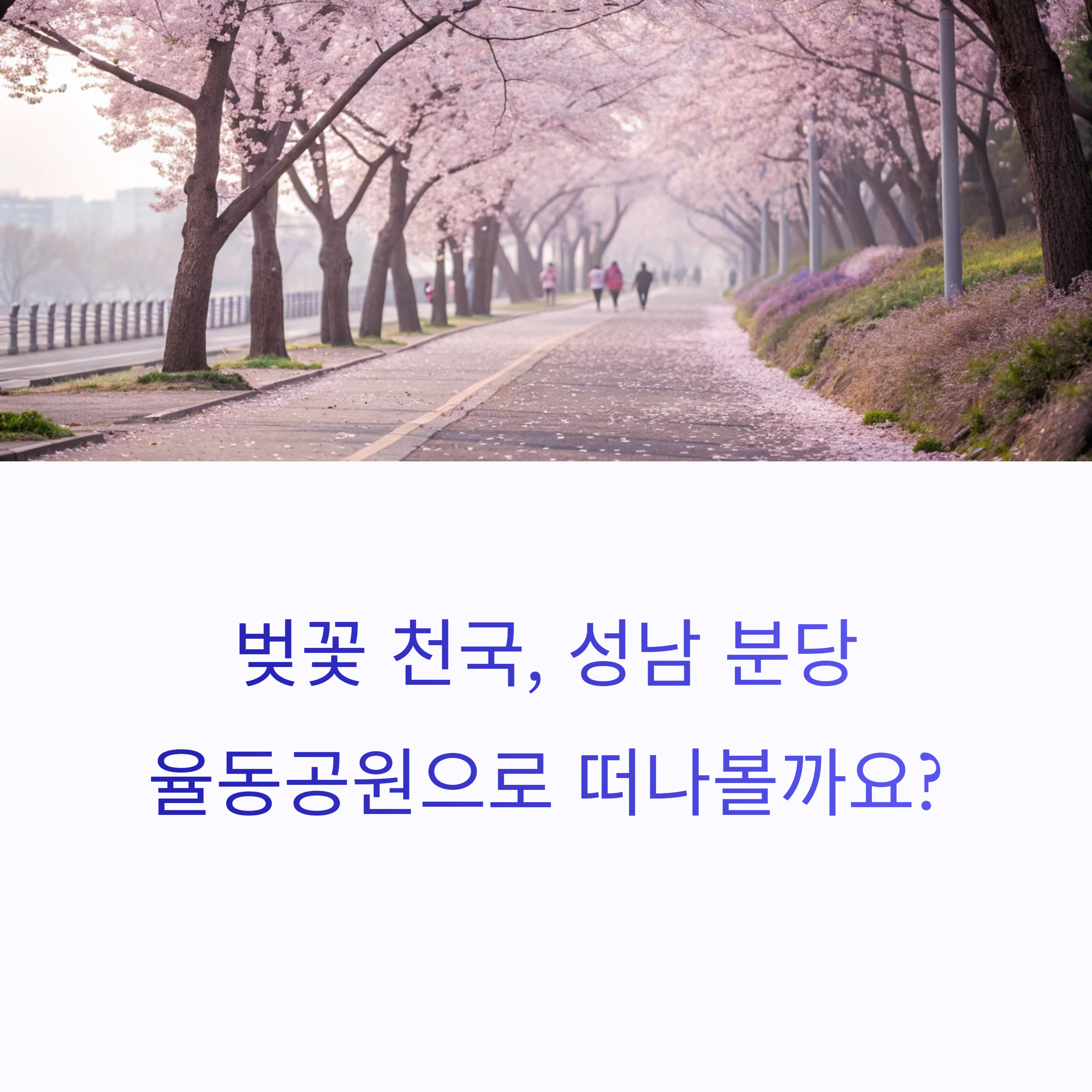성남 율동공원 벚꽃 명소 완전정복