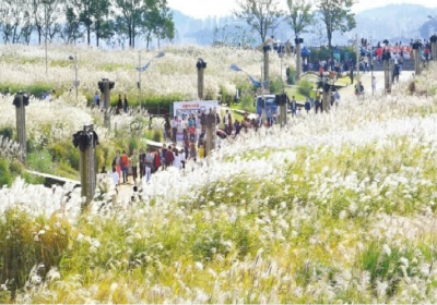 제1회-전국-억새&노을-사진-공모전