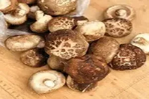 표고버섯