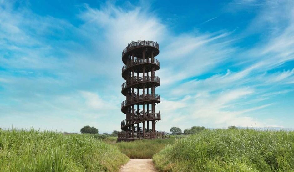 시흥 갯골생태공원 완벽 가이드: 특별한 내륙 염습지에서 만나는 생태 힐링