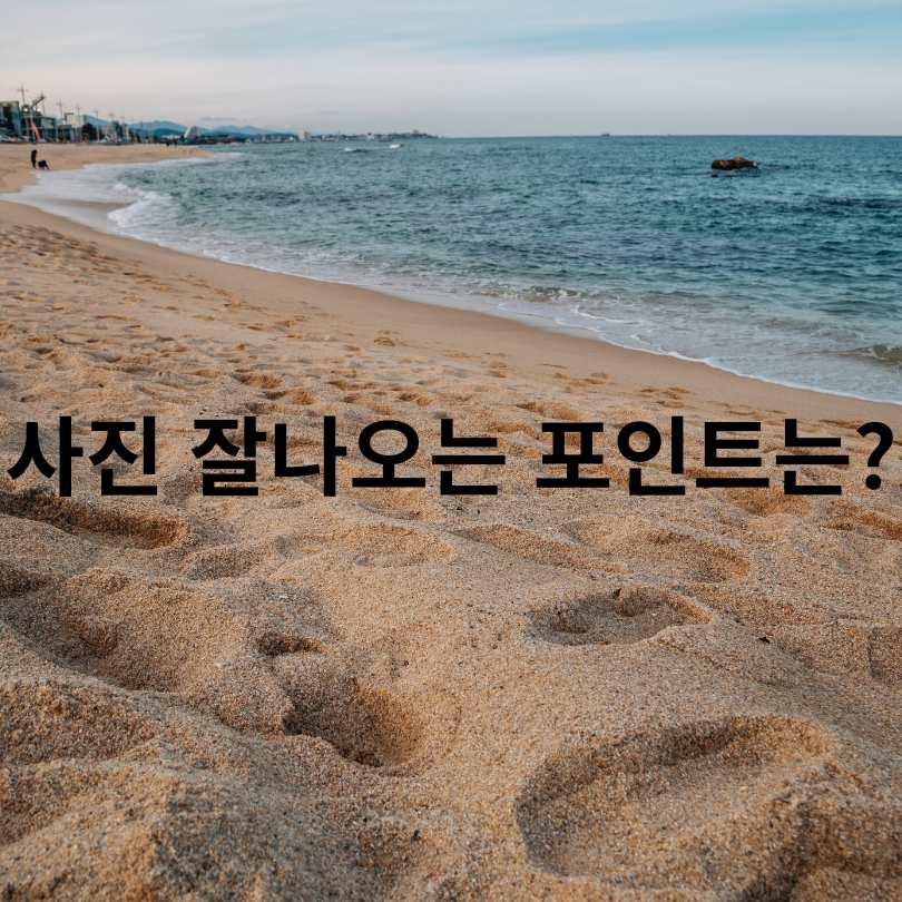 2025 경포썸머 페스티벌