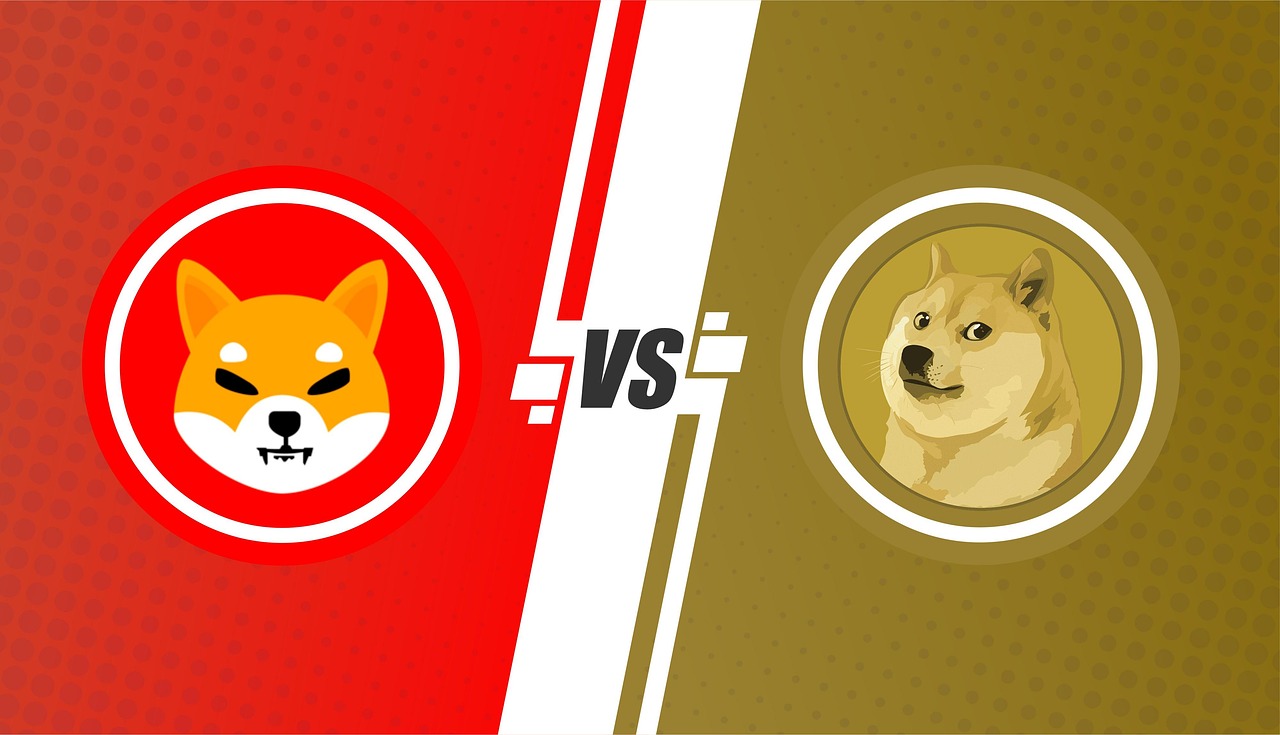 밈코인, 시바이누코인vs도지코인