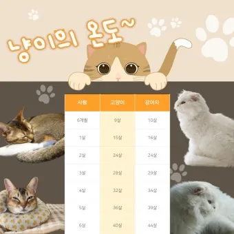 &amp;quot;고양이