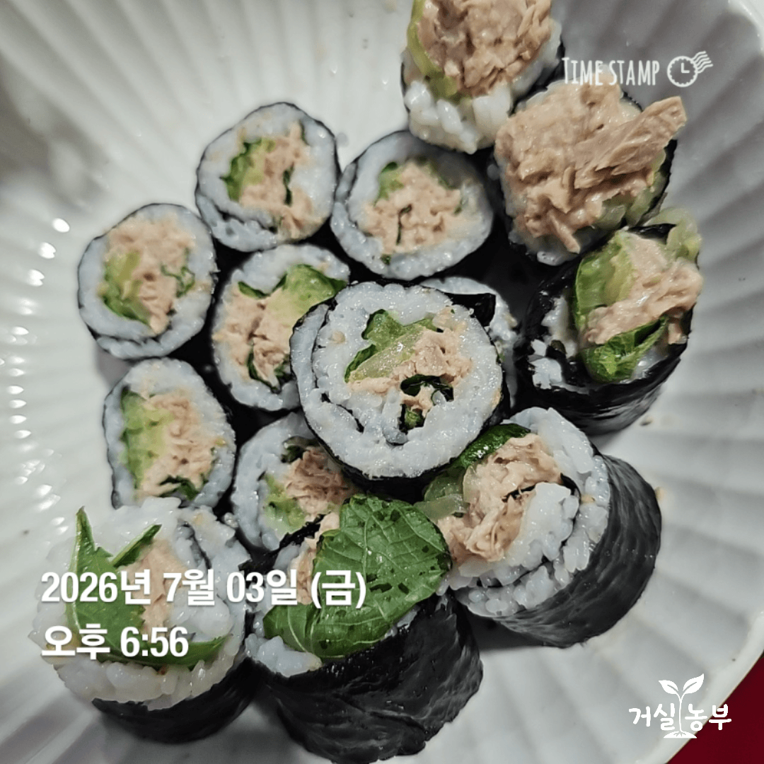 직접 수경재배한 깻잎으로 만든 깻잎오이참치김밥