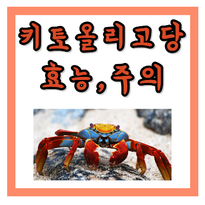 키토 올리고당