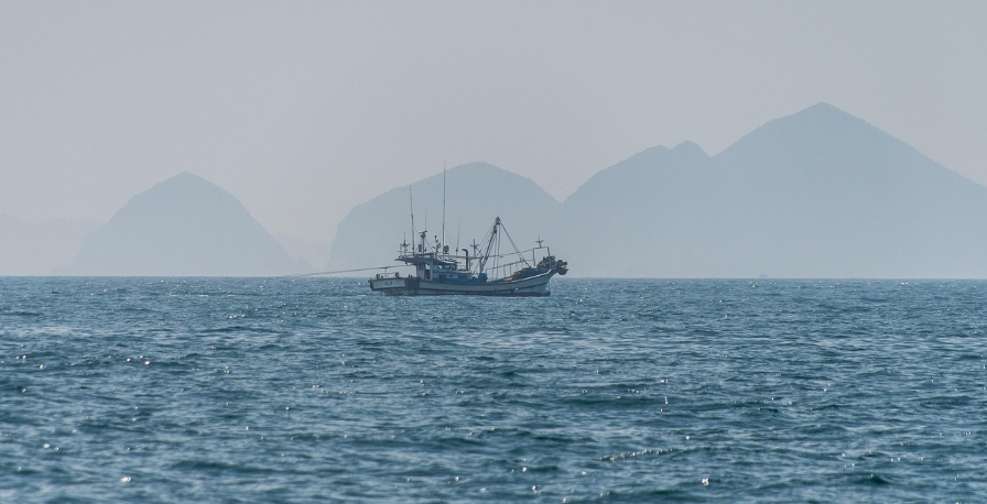 남해안 바다 낚시 사진