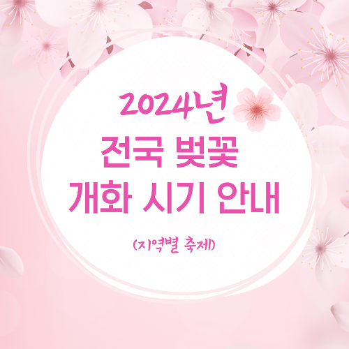 2024년 전국 벚꽃 개화 시기 안내