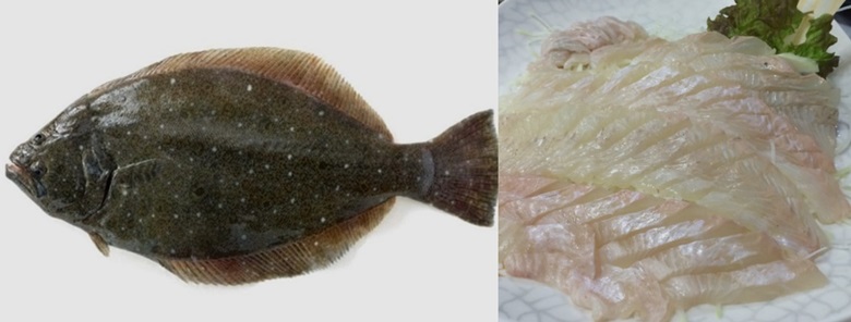 좌측부터 광어 한마리를 가로로 내려둔 사진과 그 광어로 회를 떠서 접시에 담아둔 사진