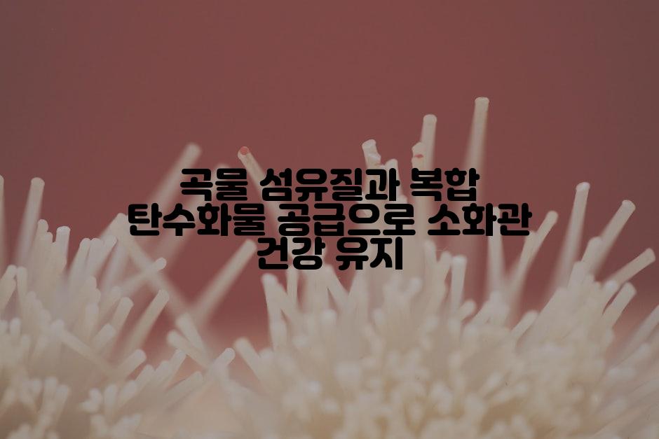 곡물 섬유질과 복합 탄수화물 공급으로 소화관 건강 유지