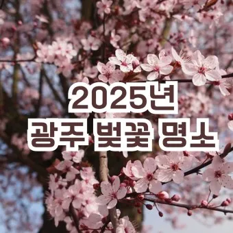 벚꽃 명소 추천 축제 유명한곳_18