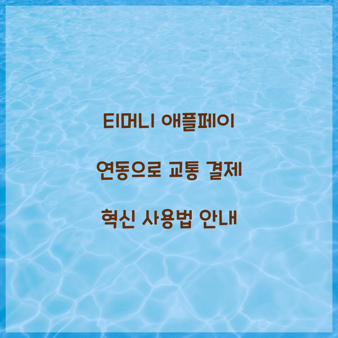 티머니 애플페이 연동