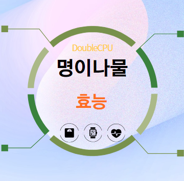 명이나물 효능 탐구