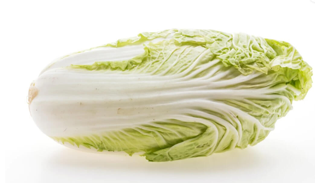 골다공증 배추
영양만점 배추
겨울야채
배추영양소
배추영양분