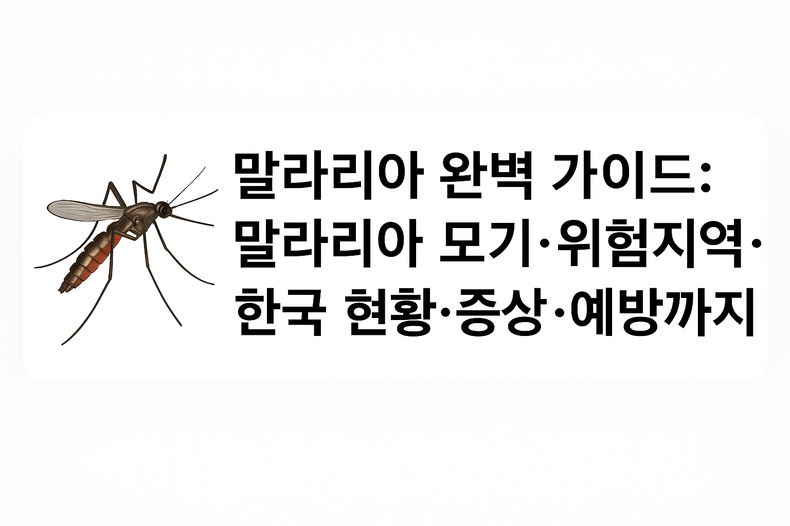 말라리아 완벽 가이드: 말라리아 모기·위험지역·한국 현황·증상·예방까지