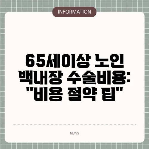 65세이상 노인 백내장 수술비용: 