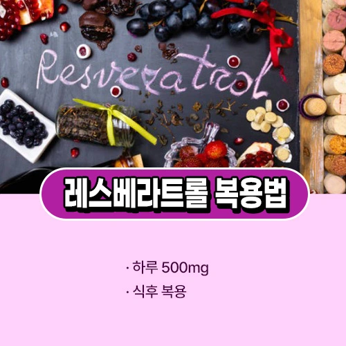 레스베라트롤 복용법