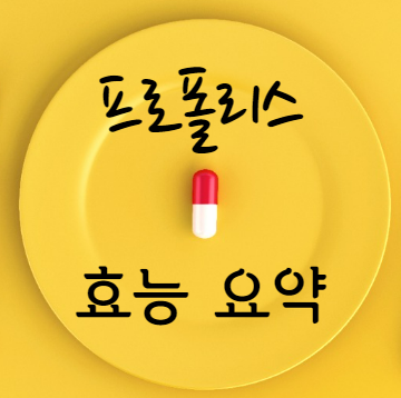 프로폴리스 효능 요약