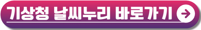 태풍 버빙카