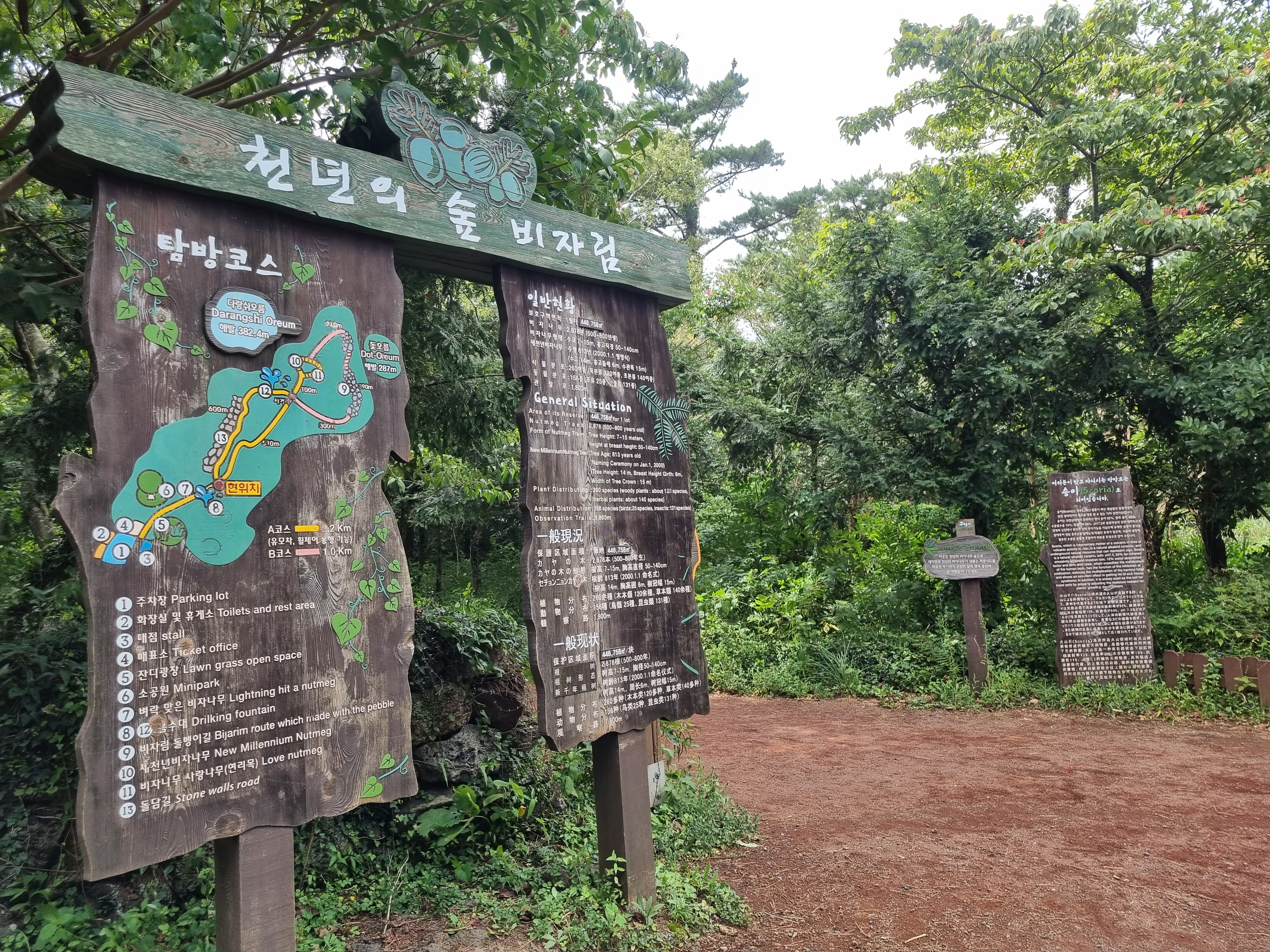 비자림