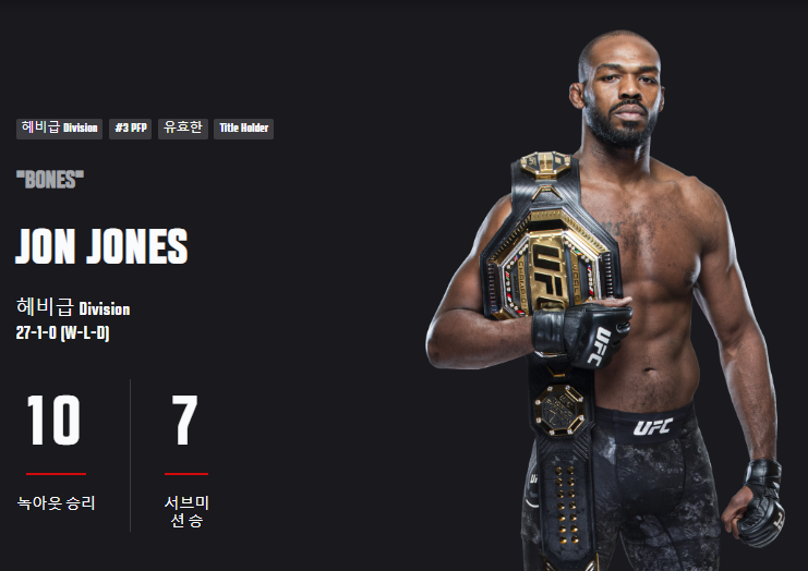 UFC 308