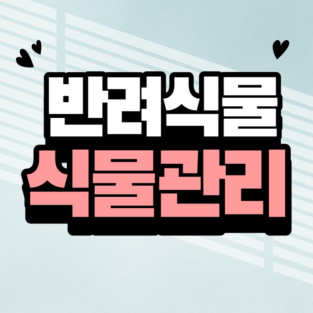 반려식물 추천 및 키우기