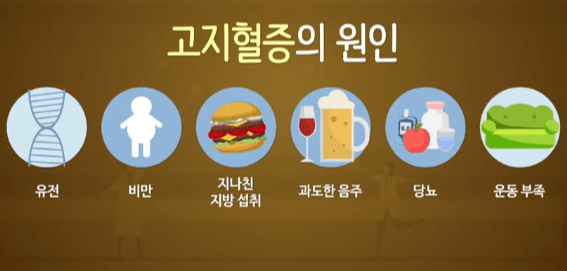 고지혈증 원인