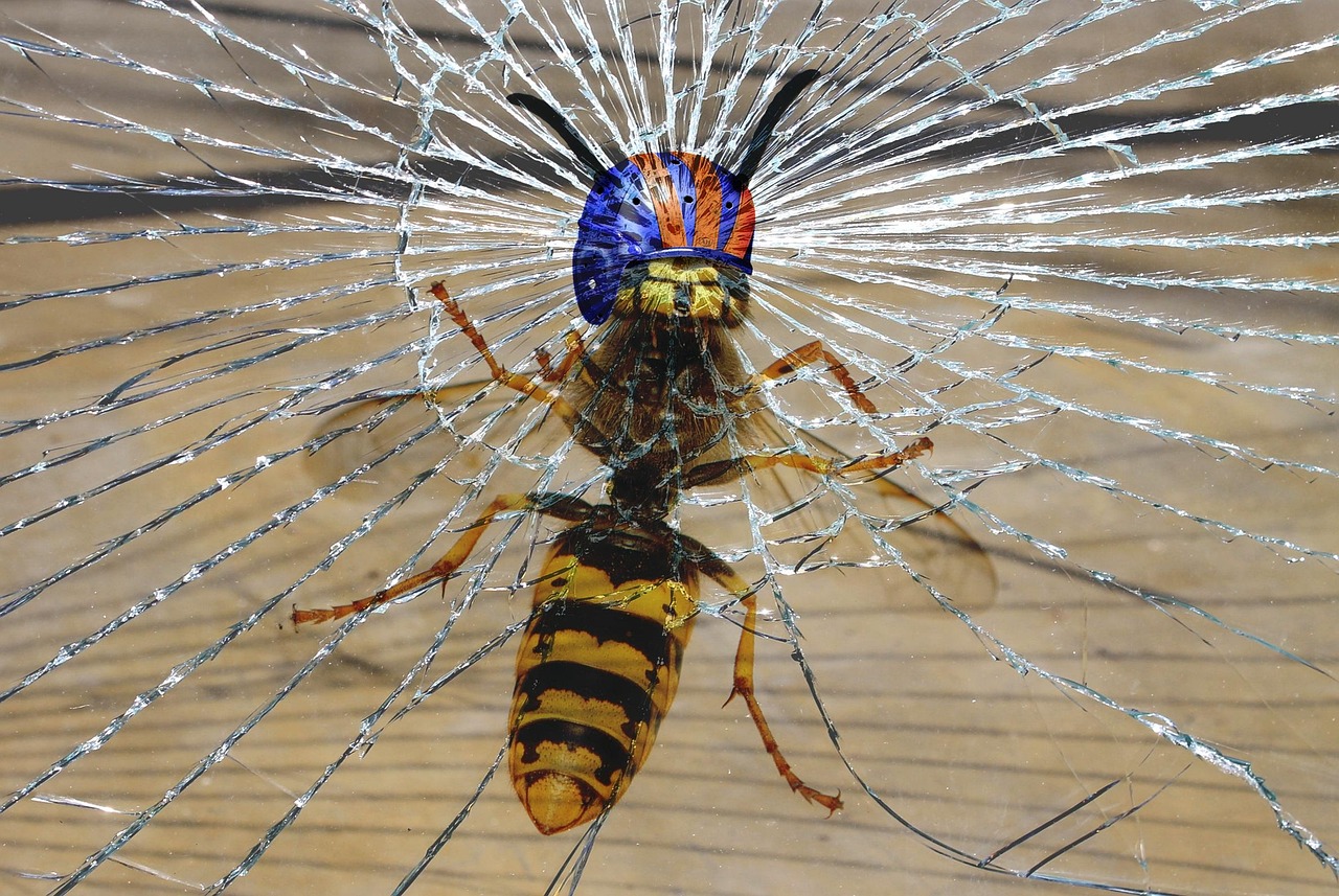 2025년 미국 통상정책 변화, 한국에 미치는 영향 관련 사진