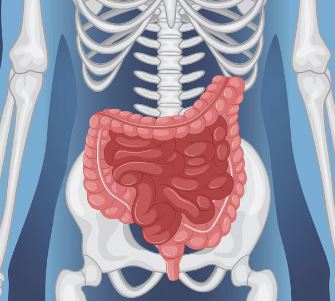 왼쪽 아랫배 통증