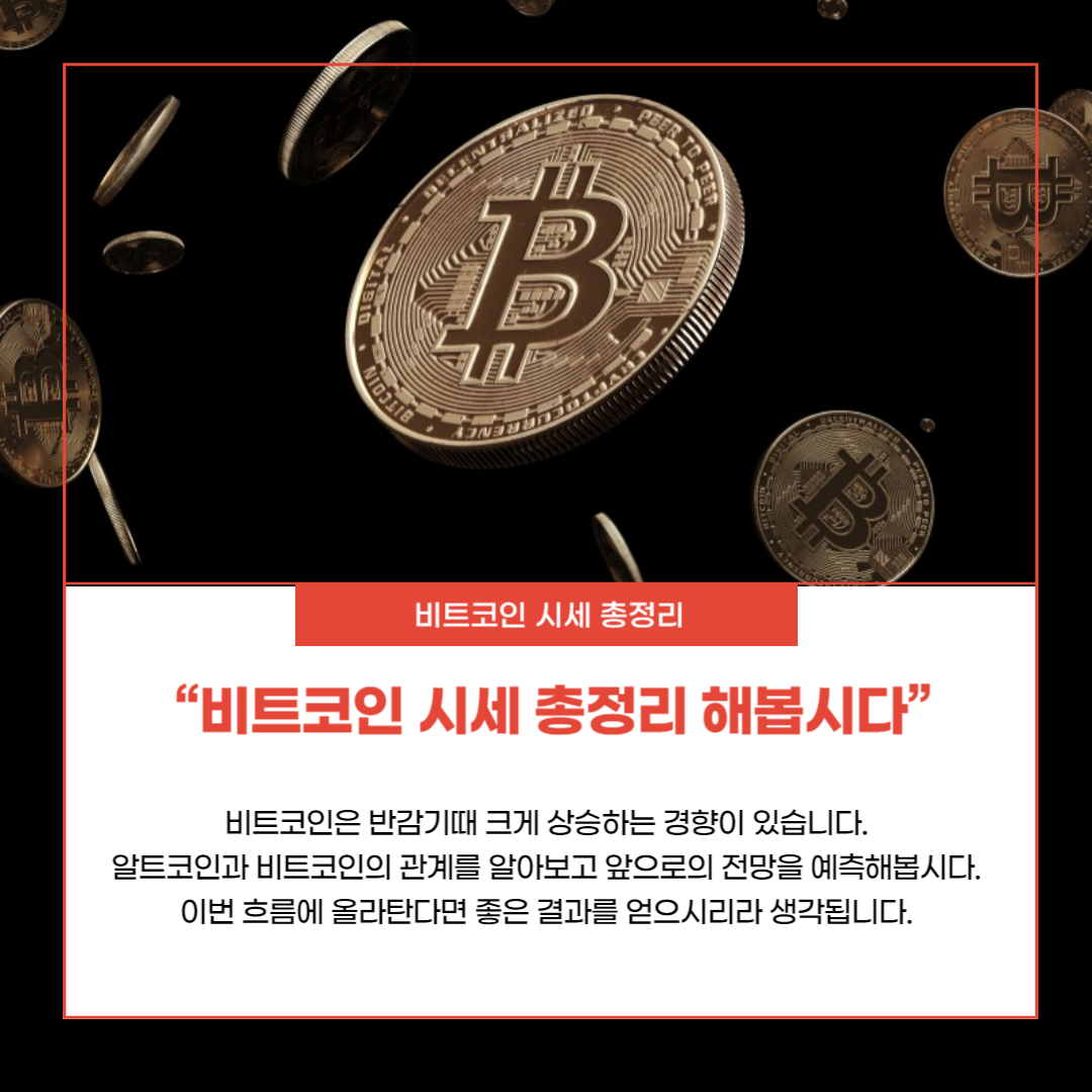 비트코인 시세 총정리