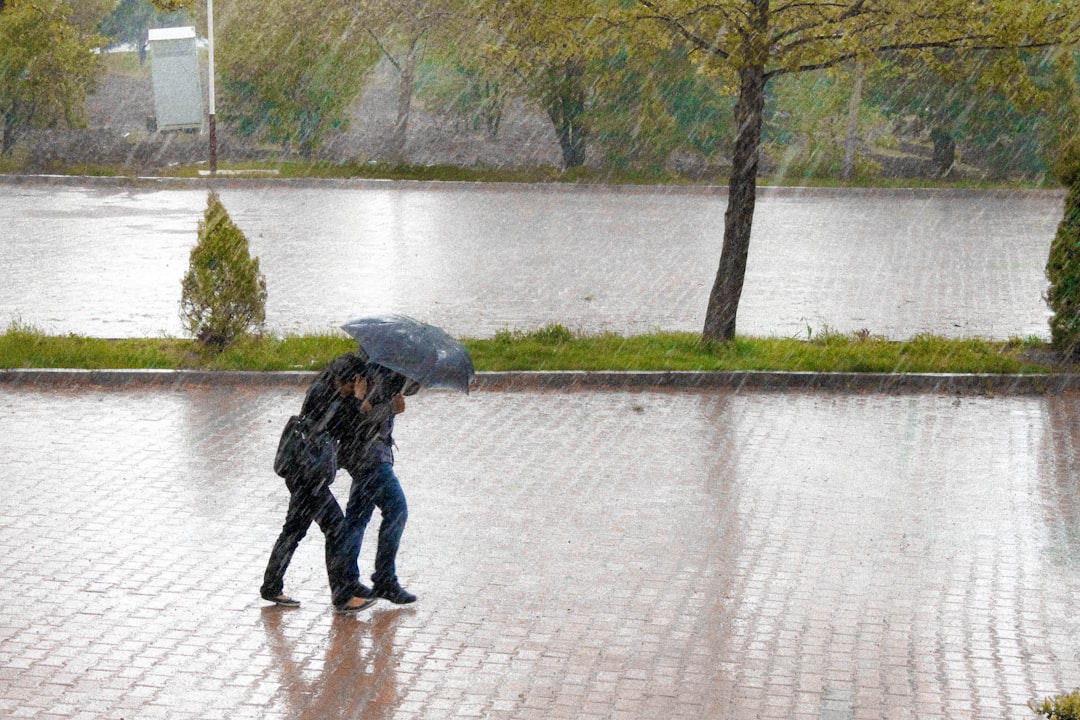 Umbrella