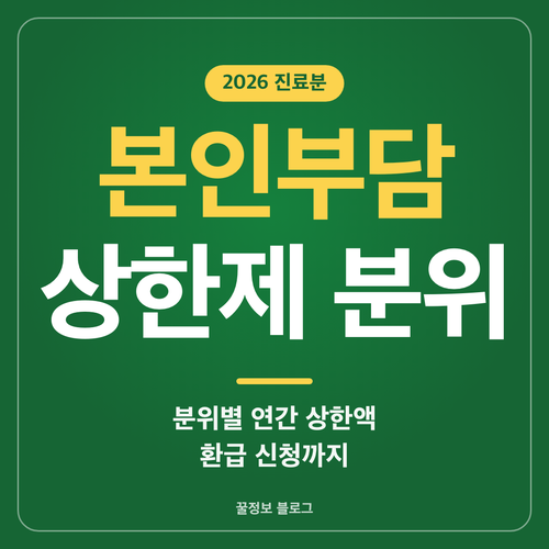 본인부담상한제 소득분위별 연간 상한액과 환급 신청 안내 썸네일