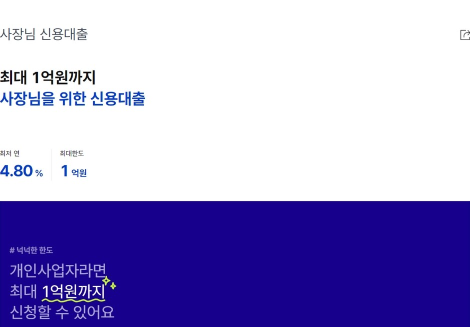 케이뱅크 사장님 신용대출