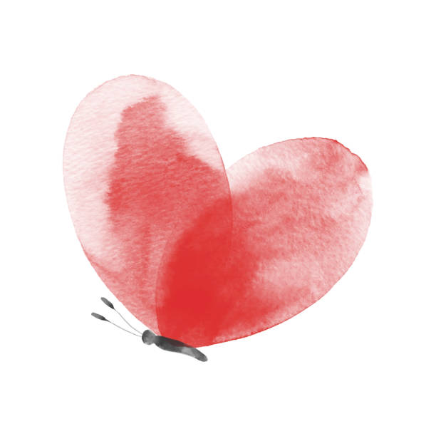 나비가 태양을 향해 나는 꿈