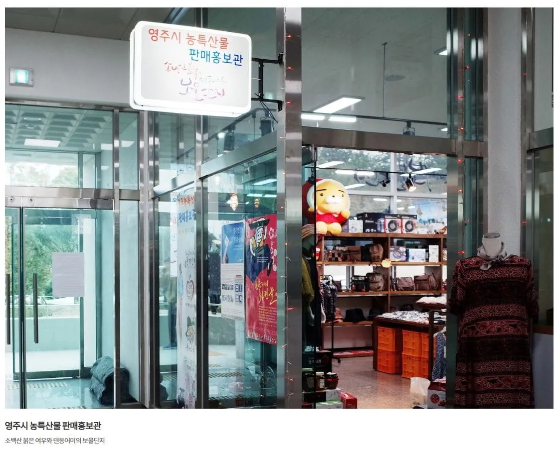 영주시외버스터미널 시간표