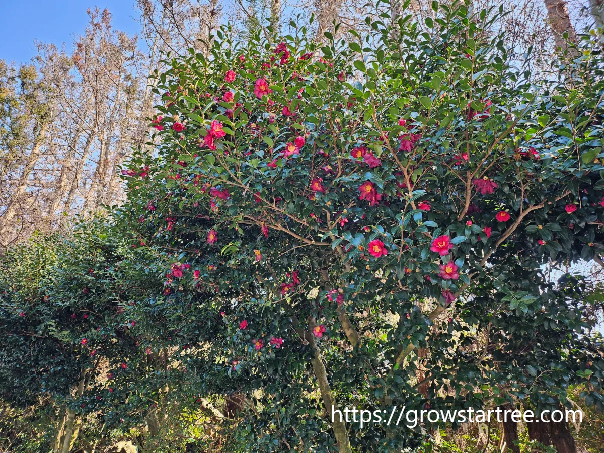 휴애리자연생활공원
