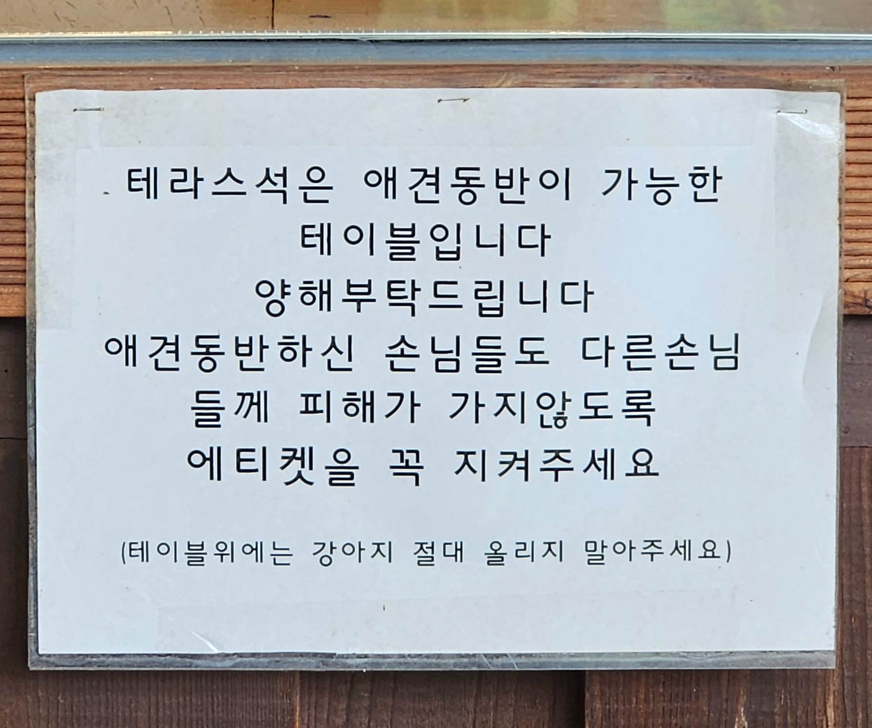 강화도 전등사 애견동반 반려동물동반 식당