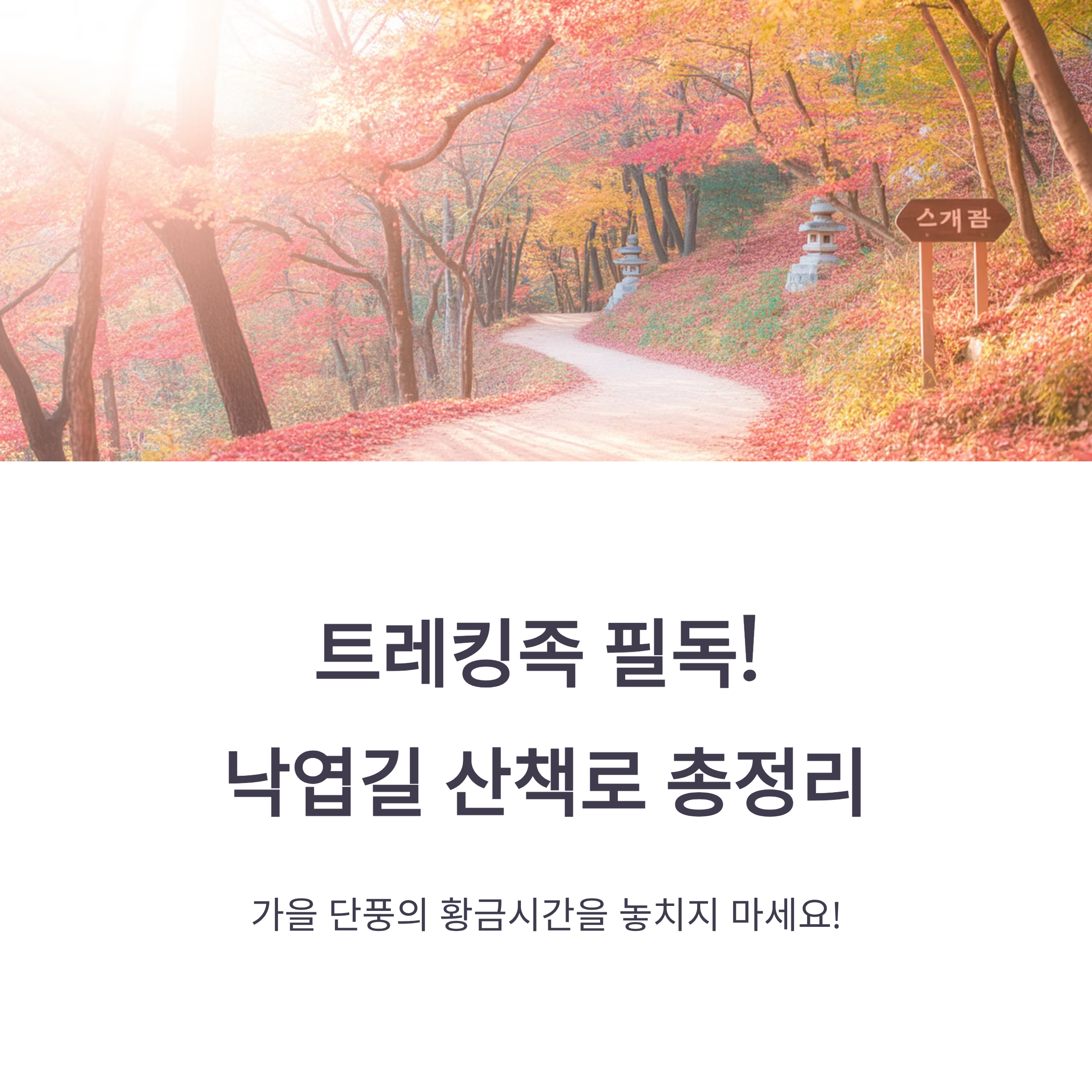 트레킹족 필독! 낙엽길 산책로 총정리