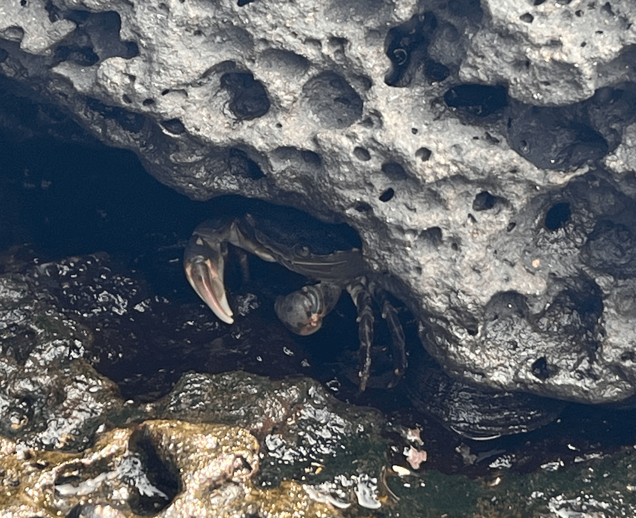 명진전복 앞 바닷가