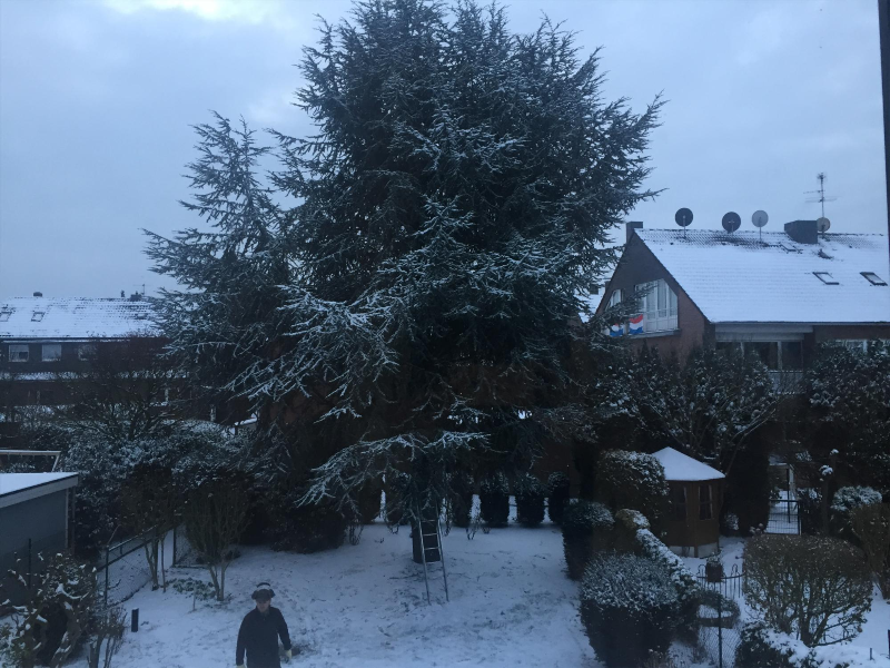 나무 베는 풍경