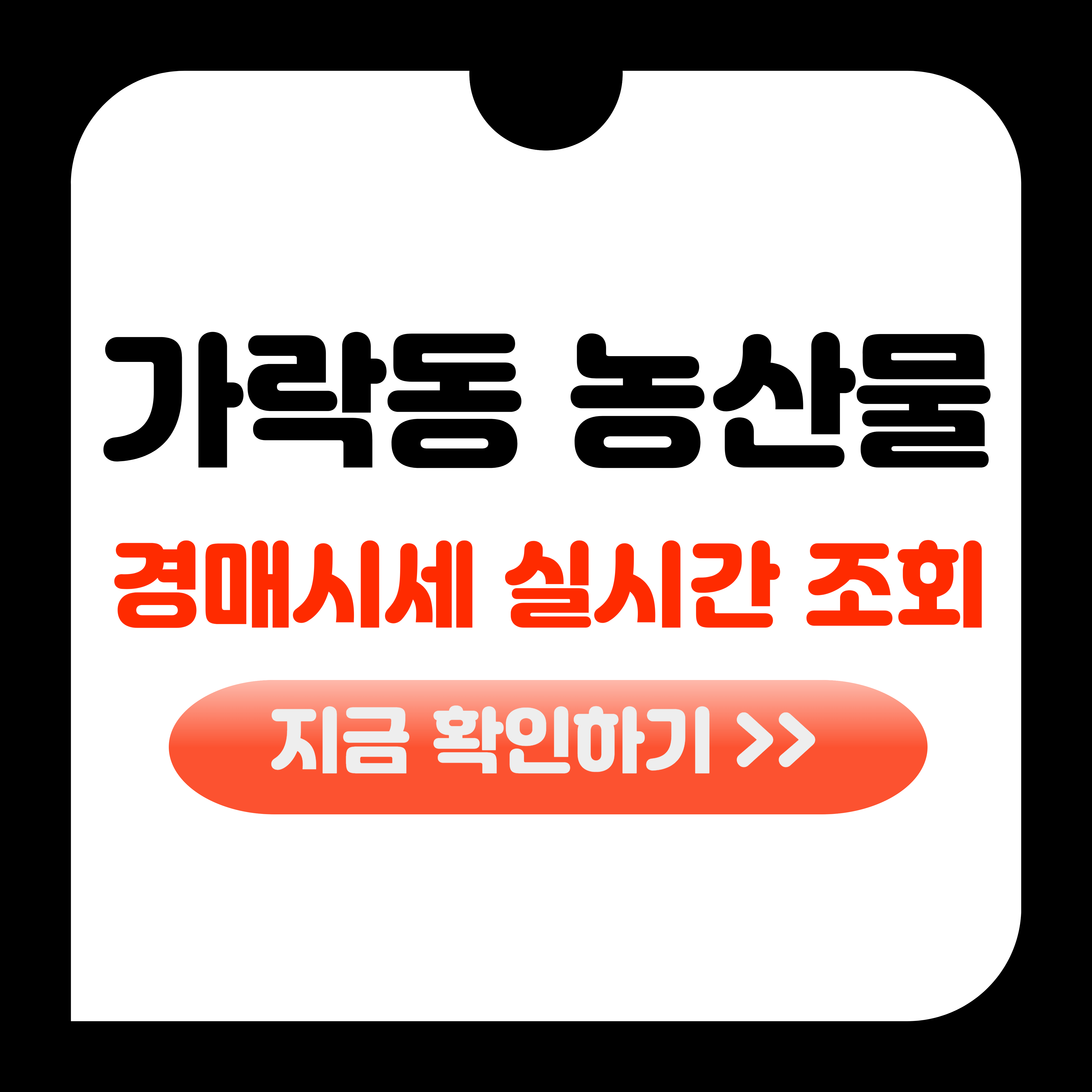 가락동 농산물 경매시세