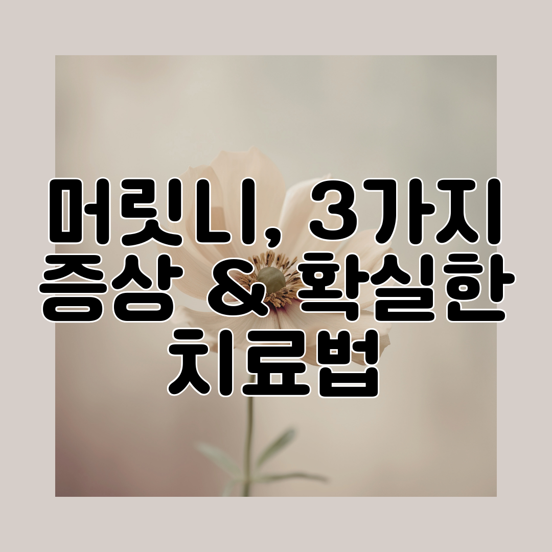 머릿니, 3가지 증상 & 확실한 치료법