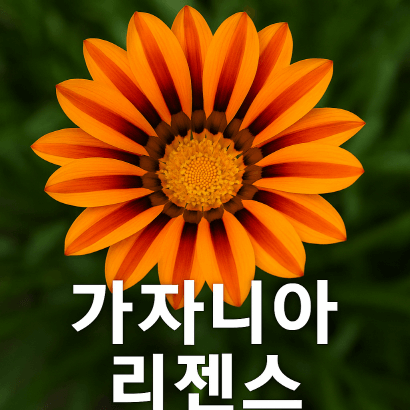 가자니아 리젠스 : 태양빛을 닮은 정원의 썸머스타