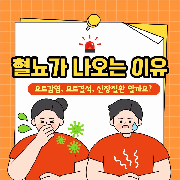 혈뇨가 나오는 이유
