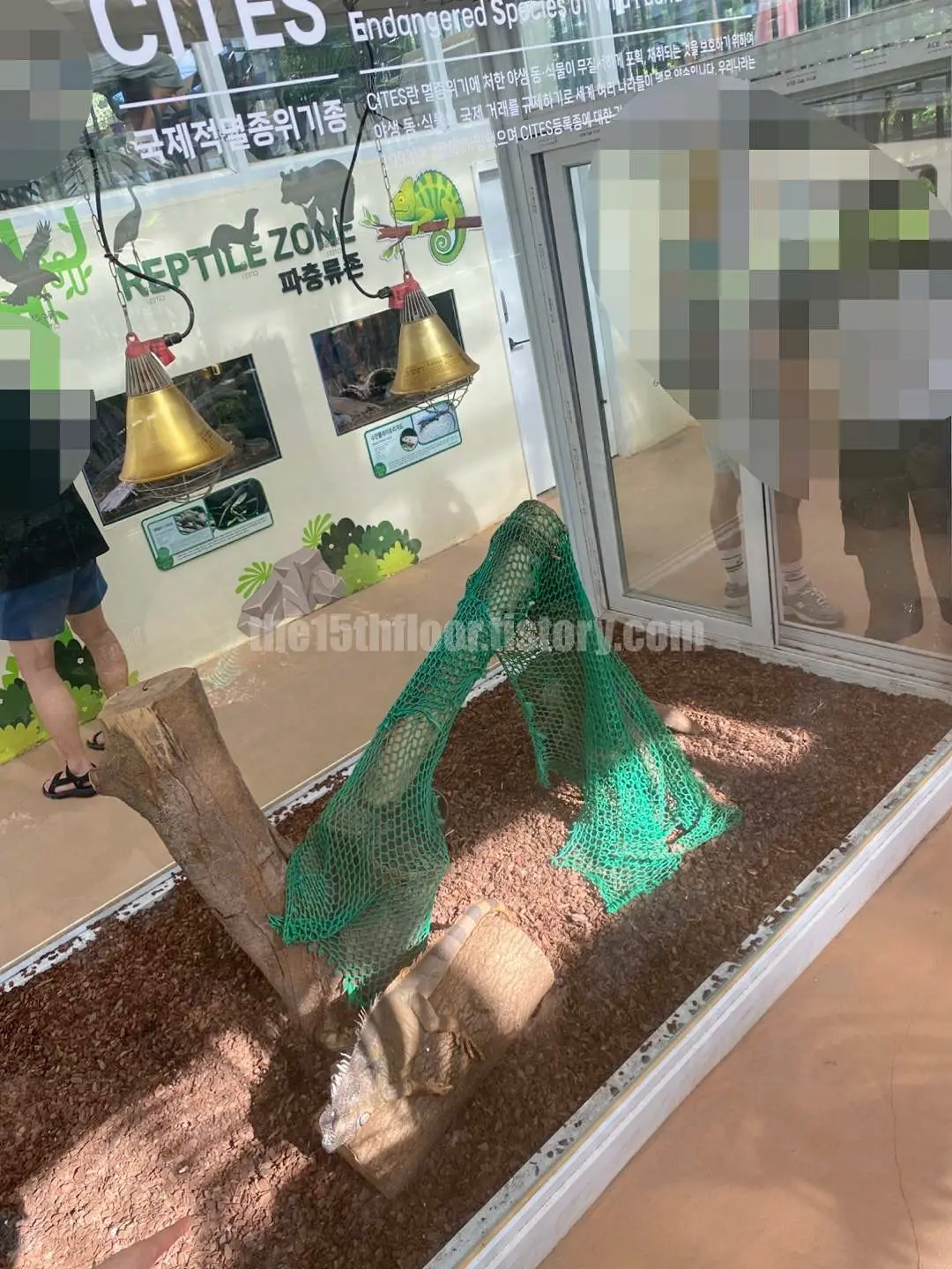 경남 의령 &amp;#39;의령 곤충생태학습관&amp;#39; (1층 &amp;#39;사막관&amp;#39;&amp;#44; &amp;#39;열대관&amp;#39;)