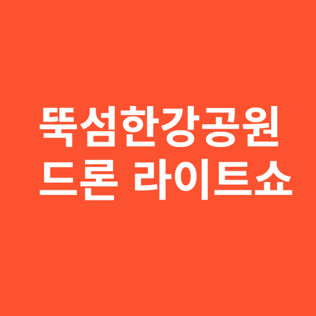뚝섬한강공원 드론 라이트쇼