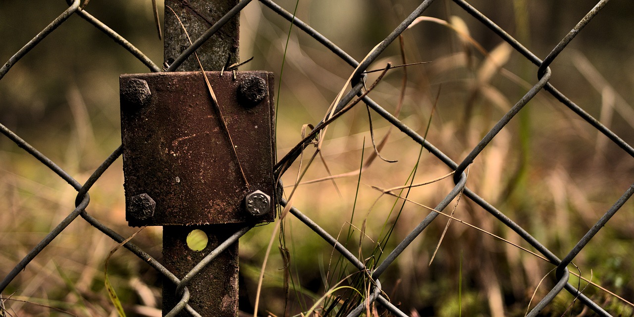 국경 - 자국 보호 주의