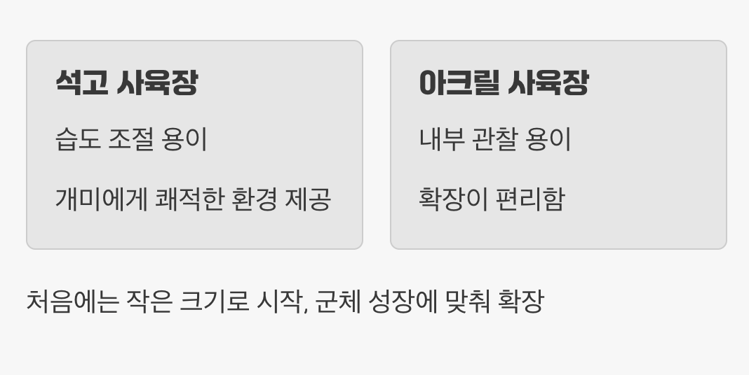 초보 집사를 위한 최고의 선택