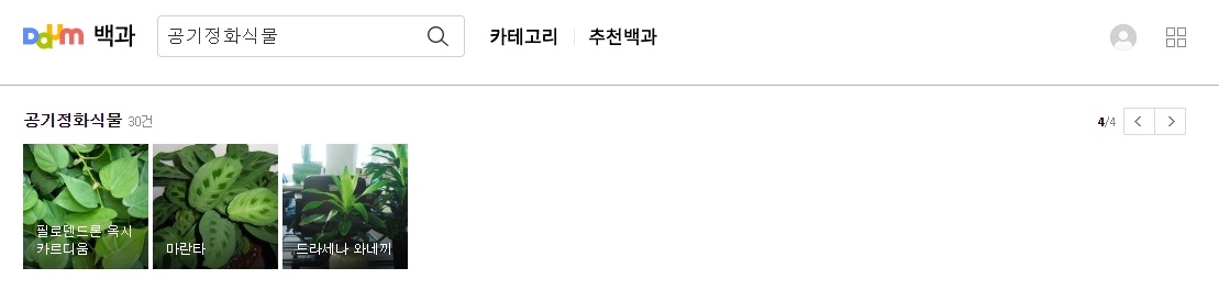 온라인 쇼핑몰에서 식물을 고르는 모습