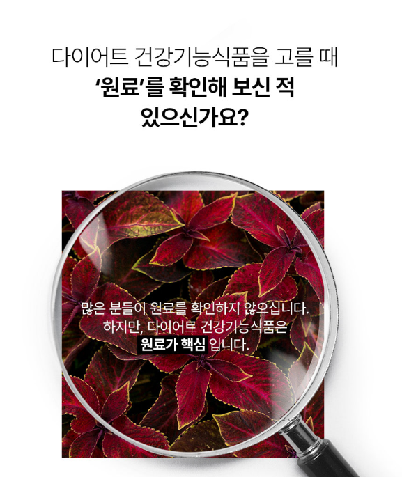 푸드올로지 빨간물 다이어트