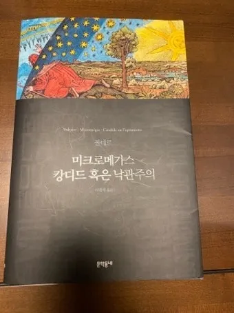 볼테르 캉디드 풍자 소설의 사회 비판과 철학적 메시지_22